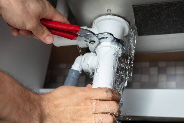 Best Water damage restoration mold remediation  in Henagar, AL