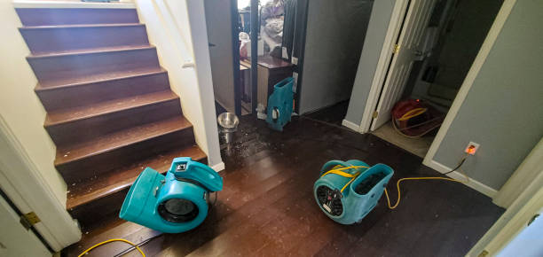 Best Professional water damage repair  in Henagar, AL