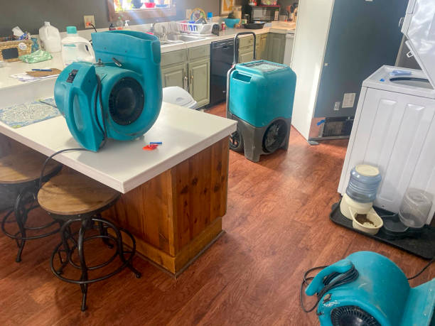 Best Emergency water damage restoration  in Henagar, AL