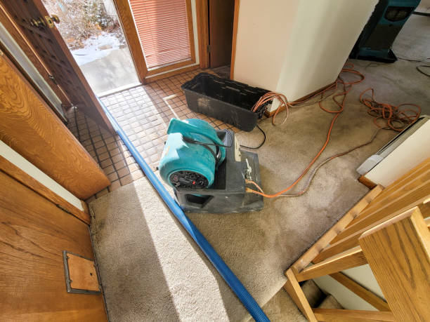 Best Commercial water damage restoration  in Henagar, AL