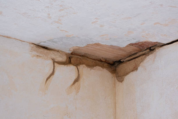 Best Flood restoration services  in Henagar, AL