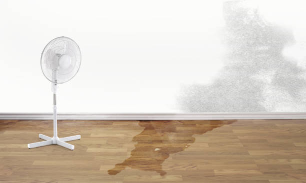 Water damage restoration mold remediation in AL