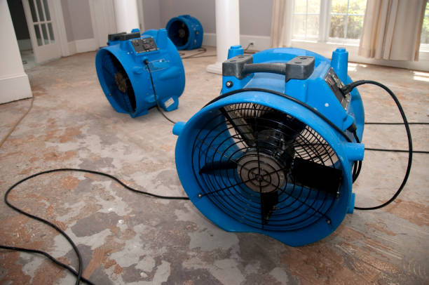 Best Water damage restoration near me  in Henagar, AL