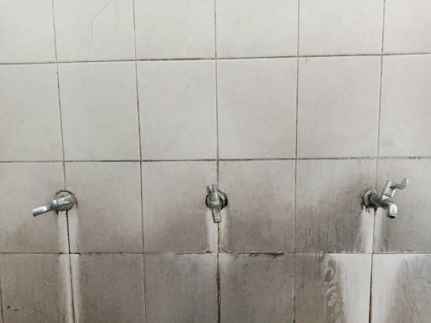 Best Basement water damage restoration  in Henagar, AL