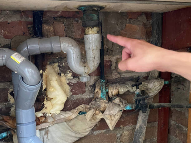 Best Water damage restoration near me  in Henagar, AL
