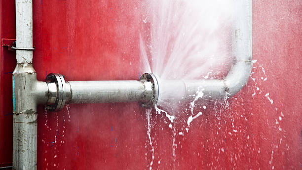 Best Water damage contractors near me  in Henagar, AL